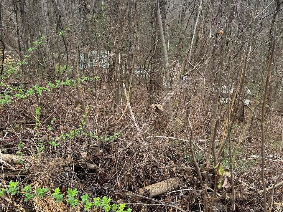 2nd image of LOT 65 Grand View Way