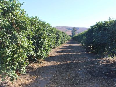 0 Price Rd, Somis, CA, 93066