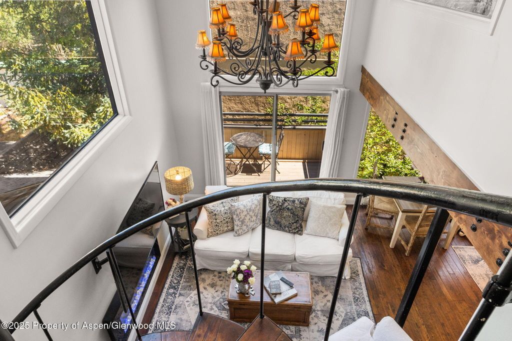 1024 E Cooper Ave APT 8, Aspen, CO - View 2