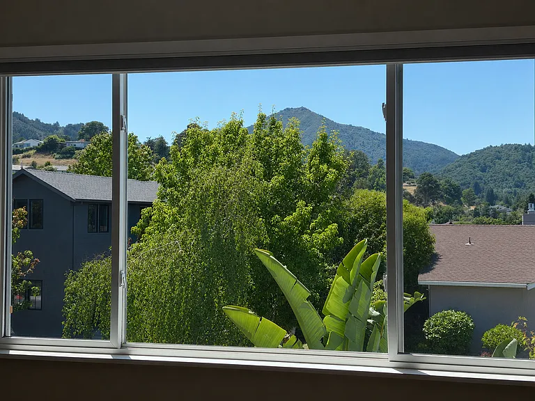 Views of Mount Tam from the Master Bedroom window.
