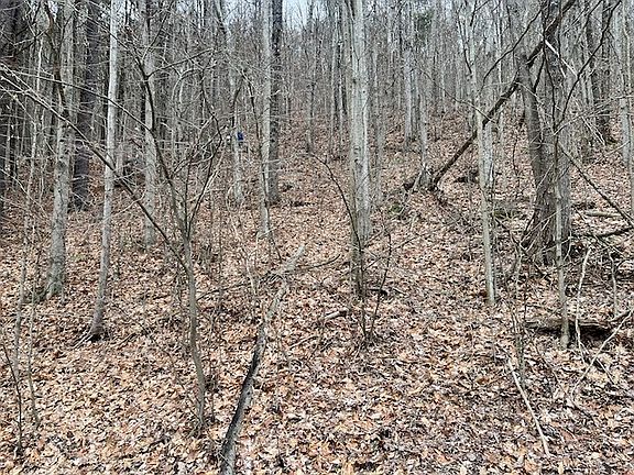 2nd image of 0 State Route 34 S Lot 41