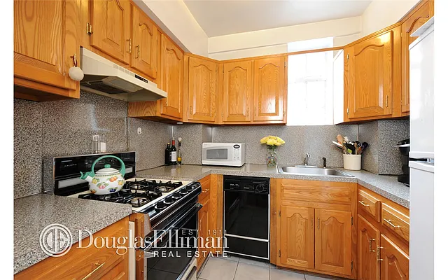 Rented by Douglas Elliman | media 14