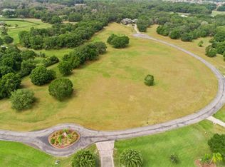 11423 Hammock Oaks Ct, Lithia, FL 33547