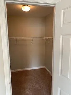 10297 Cardigan Dr — Photo 11