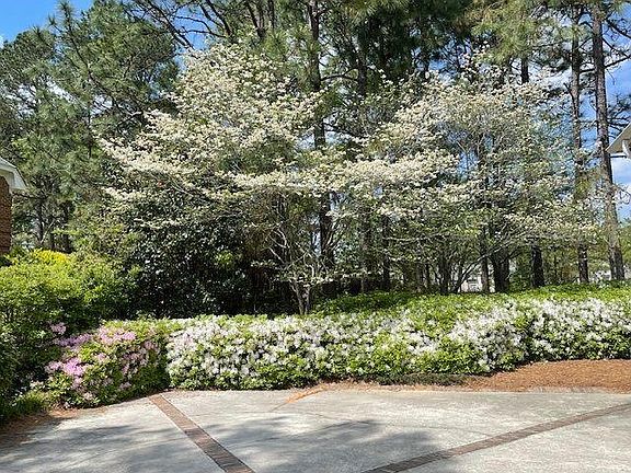 2nd image of 913 Holley Lake Rd