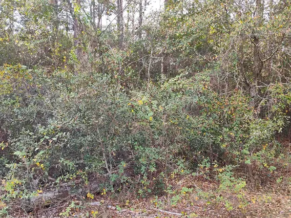 26 George Bell Ct, Folkston, GA 31537