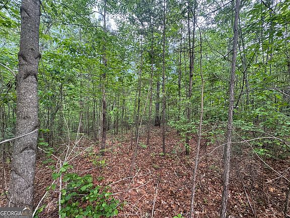 2nd image of 1786 Jones Mountain Rd