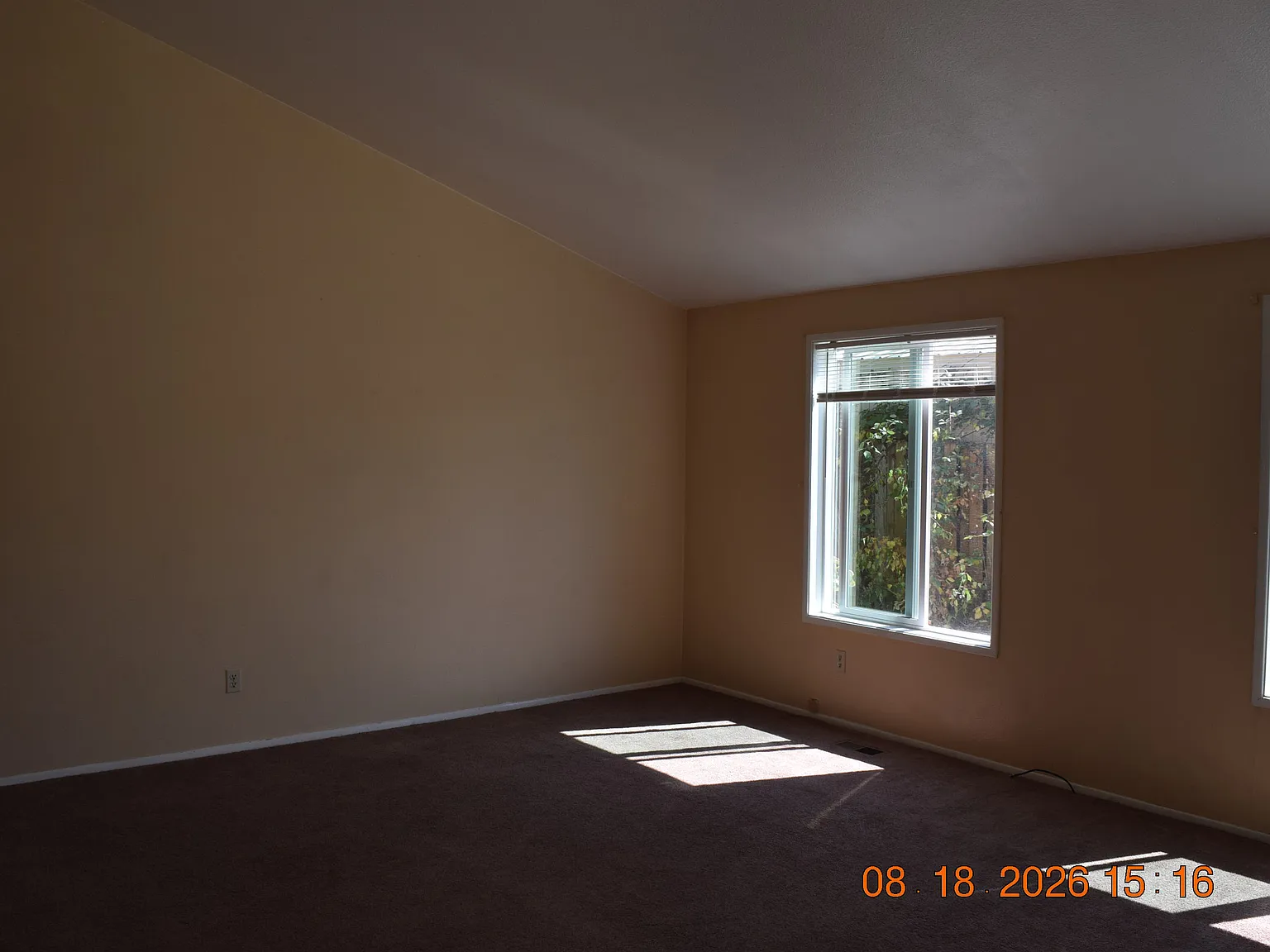 3 bed, 1120 sqft, $2,000 — Photo 4