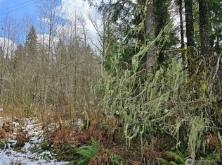 31518 557th Street Ct, Ashford, WA 98304