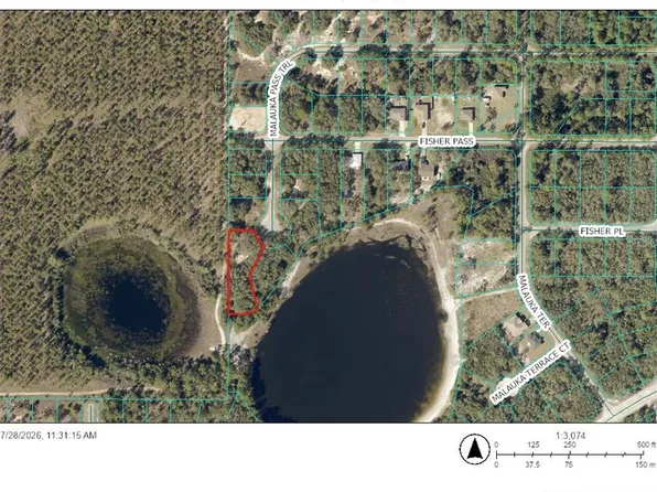 TBD MALAUKA PASS TRAIL LOT 10, OCKLAWAHA, FL 32179