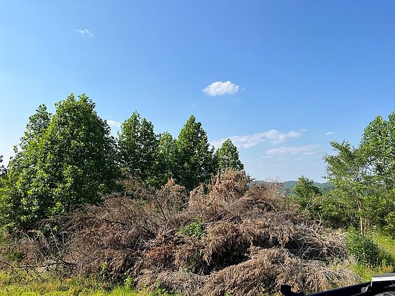 3rd image of 0 Highway 321 Lot 0