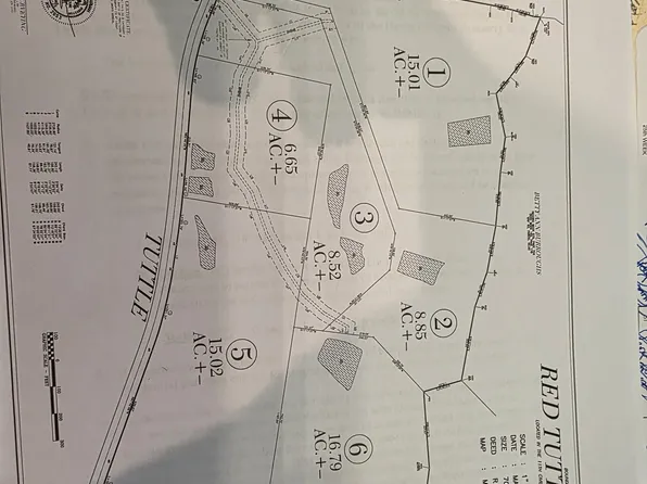 0 Red Tuttle Rd Lot 1, Bethpage, TN 37022