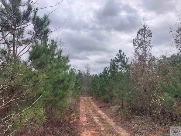 County Road 3663, Atlanta, TX 75551