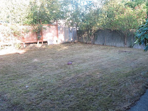 Backyard - Fully Fenced