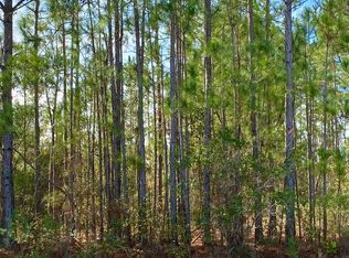 0 Sinclair Rd, Patterson, GA 31557