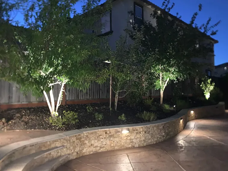 9562 Albert Dr — Photo 13