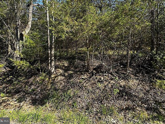 4th image of LOT 1 Deep Run Holw