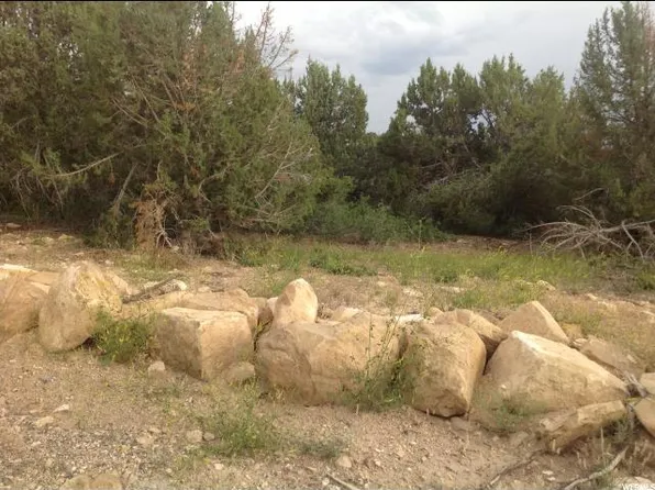 12820 E Juniper Dr, Fairview, UT 84629