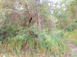 224 Pheasant Rd, Satsuma, FL 32189