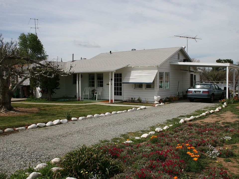 Large Lot w/ Fruit Trees