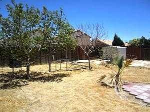 Backyard view 3