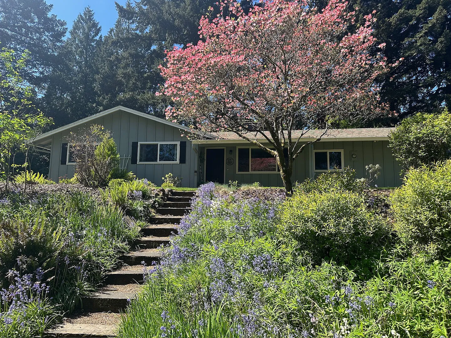 The Bull Mountain Breeze Ideal Traveler's Retreat! — Photo 2