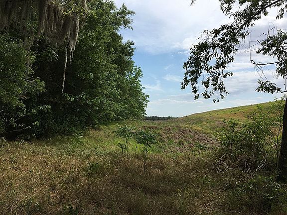 Must see this rare view