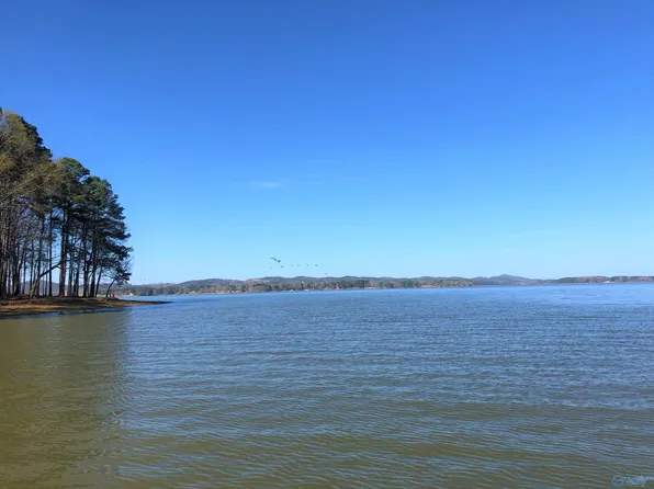 13 Little River Lndg, Cedar Bluff, AL 35959