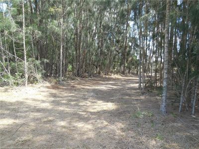 2317 Upson Ave, Lorida, FL, 33857