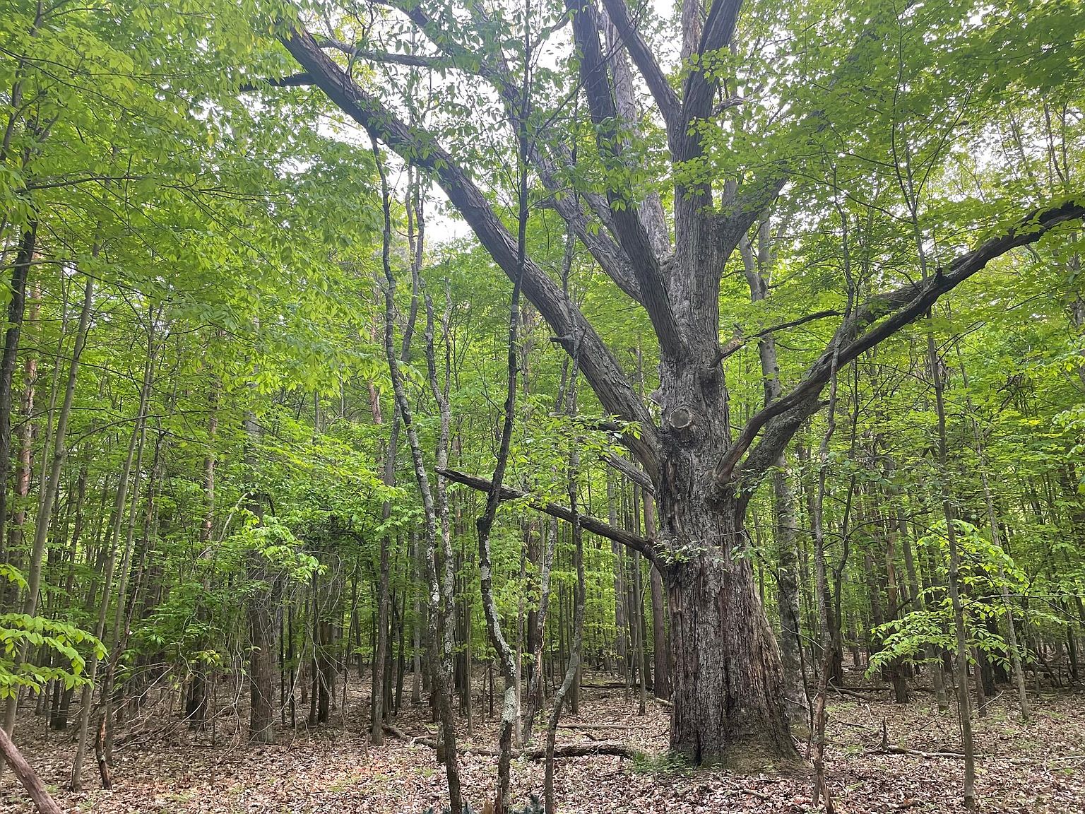 W 104th St, Grant, MI 49327 MLS 23016600 Zillow