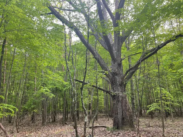 W 104th St, Grant, MI 49327