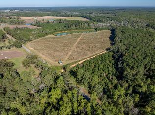 136 Harmony Rd, Meigs, GA 31765