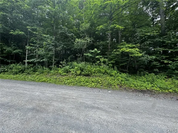 0 Culpepper Rd #3, Lowville, NY 13367