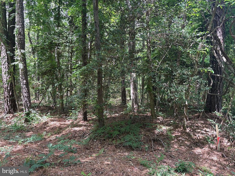 1st image of 0 Pioneer Trl