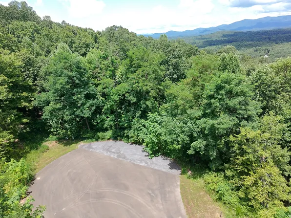 260 Running Bear Rdg #14, Ellijay, GA 30536