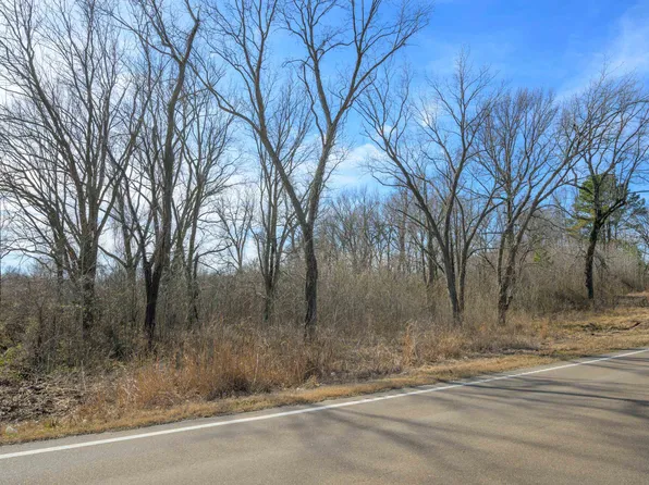 Highway 59 W, Burlison, TN 38015