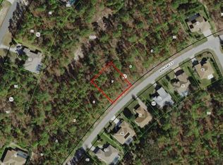 10 Boxleaf Ct, Homosassa, FL 34446