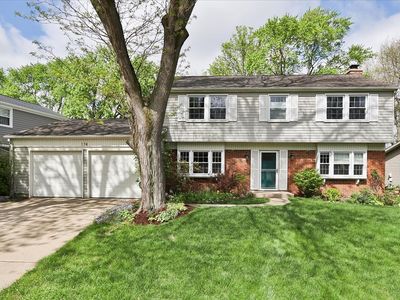 174 Timber Hill Rd, Buffalo Grove, IL, 60089