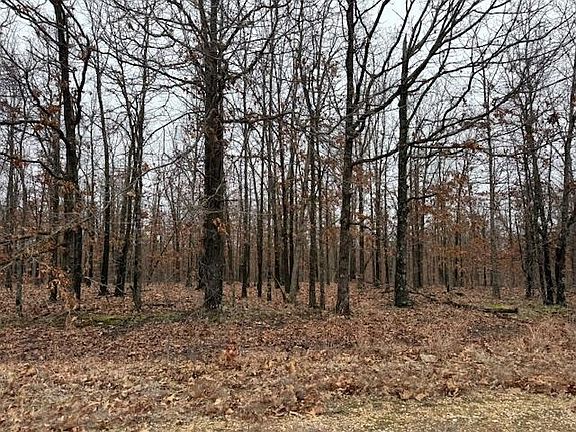 2nd image of 6.47 Acres Hawkweed Trail