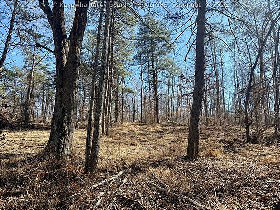 3rd image of 0 Blessing Ln