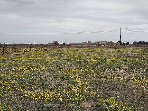 Back pasture in spring- East