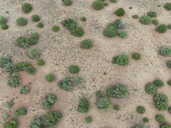 Apache Rd, Snowflake, AZ 85937