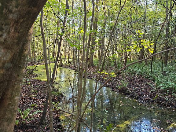 2nd image of 0 County Road 10