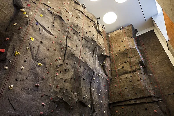 Rented by Windsor Property Management | media 52