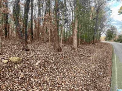 334 York Dr #7, Rogersville, AL, 35652