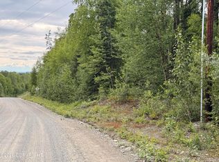 21501 E Caswell Lakes Rd, Willow, AK 99688
