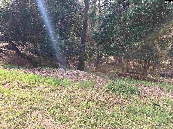 3rd image of 213 Corley Woods Dr