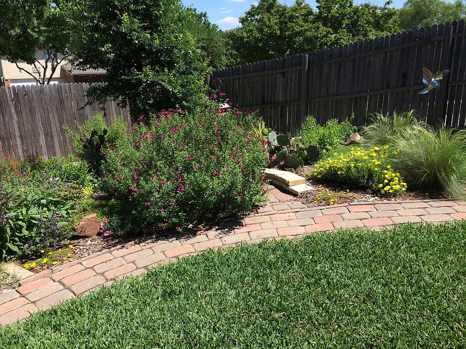 Garden in full bloom