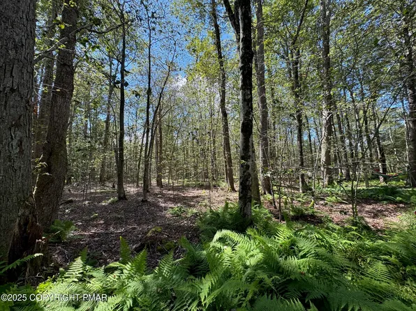 Gross Dr #19, Pocono Pines, PA 18350