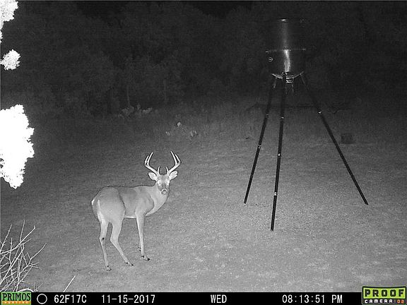 3rd image of 7805 Wd Ct